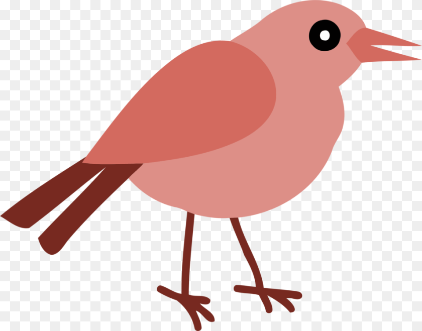 European Robin Bird Beak Thumbnail Perching, Animal PNG