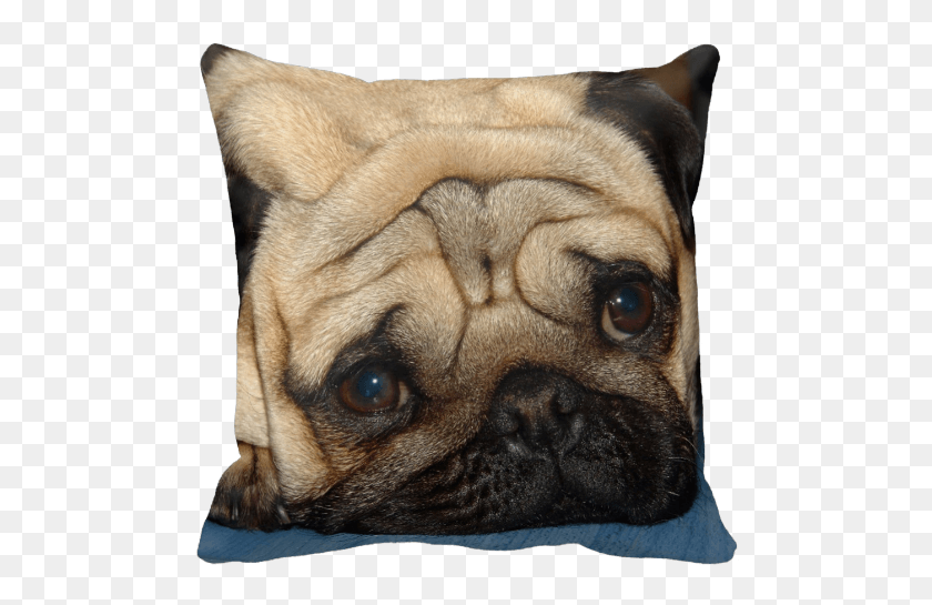 503x485 Europug Face Pillow Posterize Pet, Dog, Canine, Animal HD PNG Download