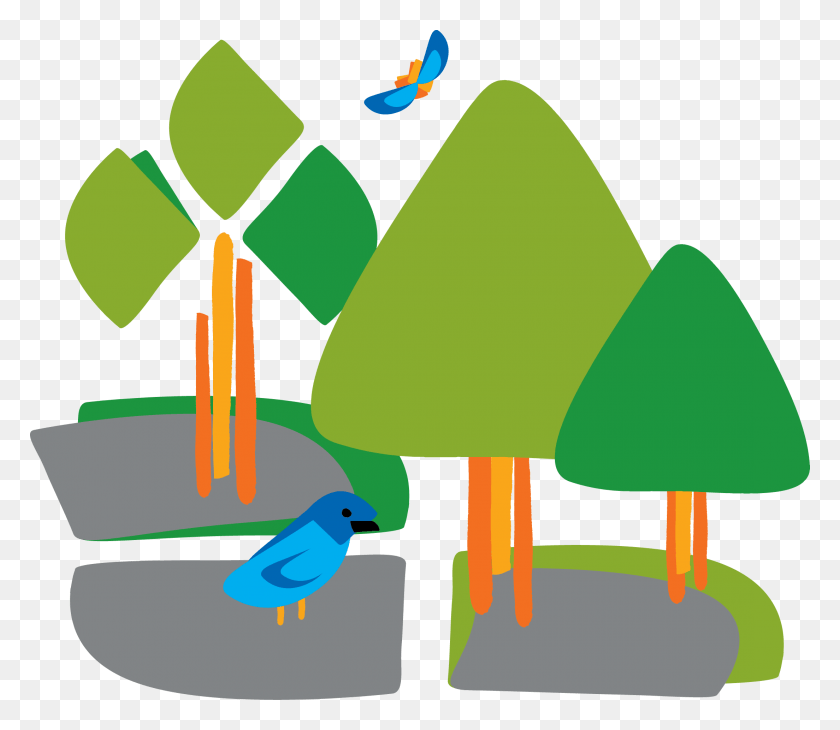 2208x1897 Когда-Нибудь Задумывались, Как Отличить Буковое Дерево От Березы, Птица, Животное, Графика Hd Png Скачать