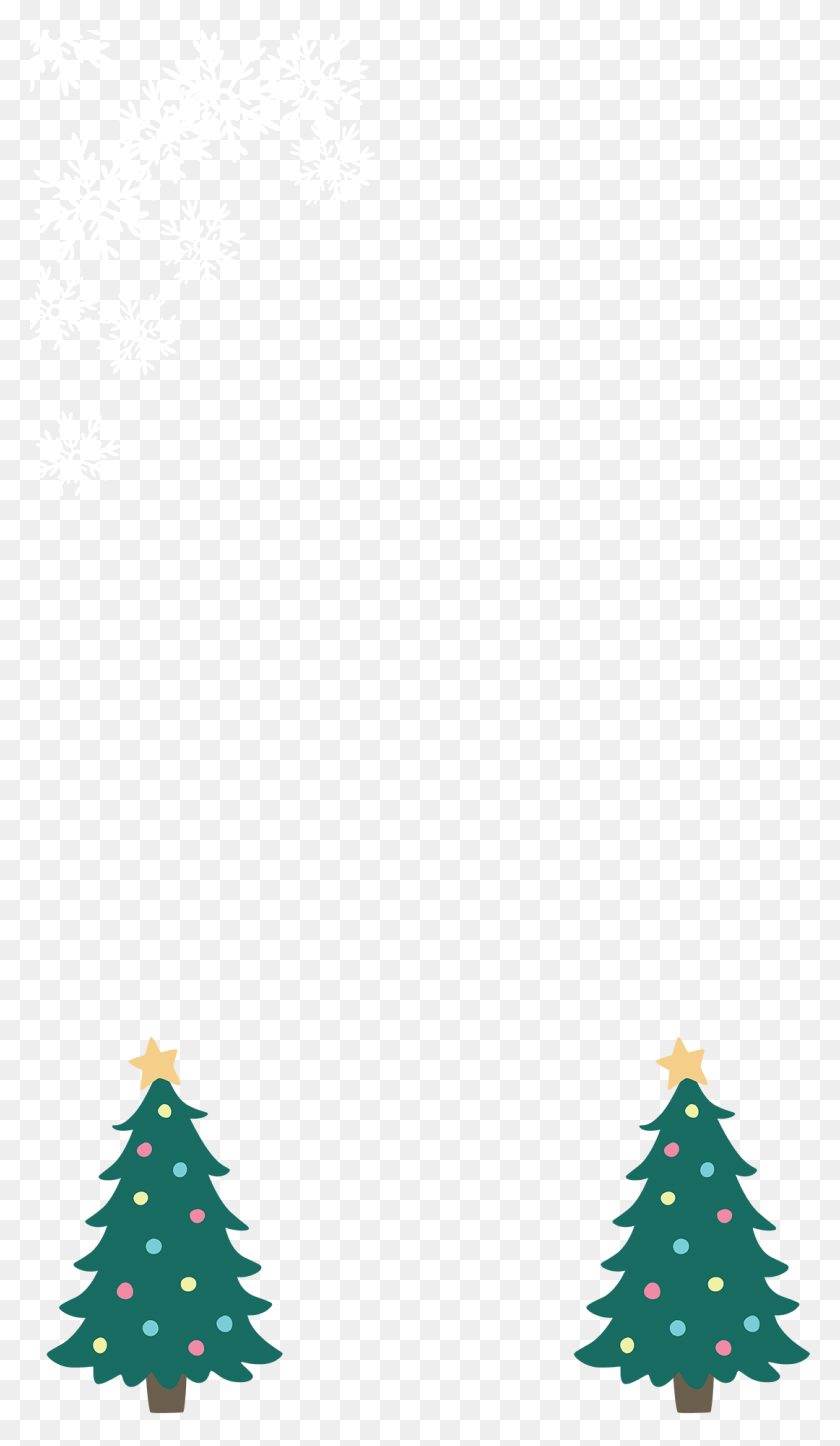 1080x1920 Evergreen Christmas Trees Christmas Tree, Tree, Ornament, Plant HD PNG Download