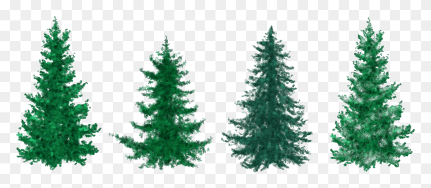 2031x802 Evergreen Line Of Christmas Trees Clipart, Tree, Plant, Pine HD PNG Download