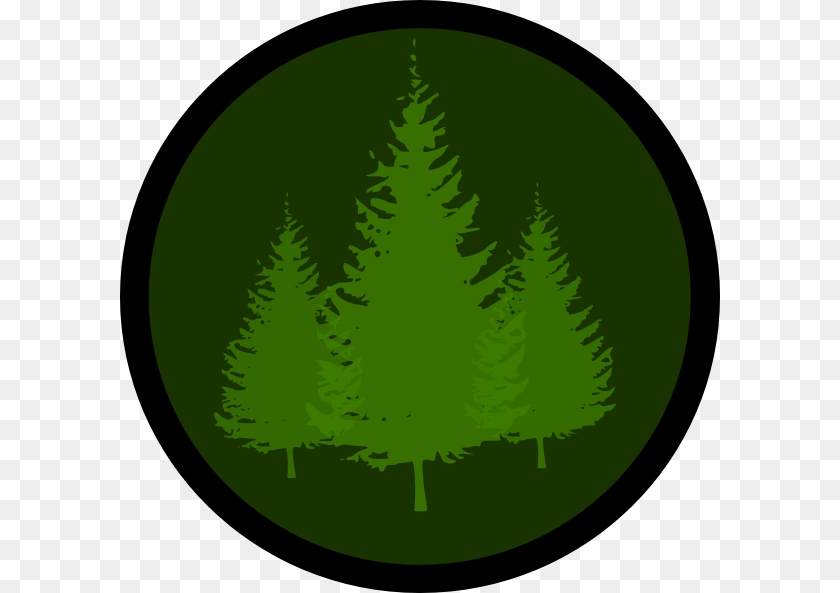 600x593 Evergreen Symbol 1 Clip Art Clip Art, Fir, Green, Pine, Plant PNG