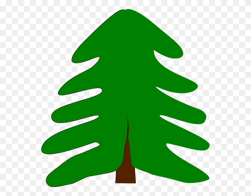 564x594 Evergreen Tree Clip Art Pine Tree Cartoon, Leaf, Plant, Green HD PNG Download