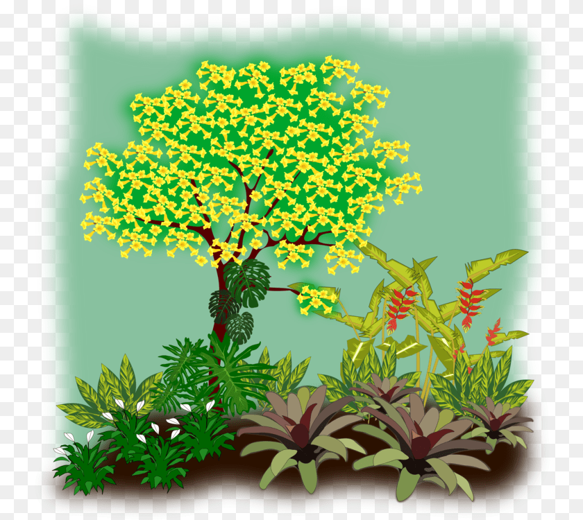 Evergreenplantshrub Flora Clipart, Vegetation, Plant, Herbs, Herbal Transparent PNG