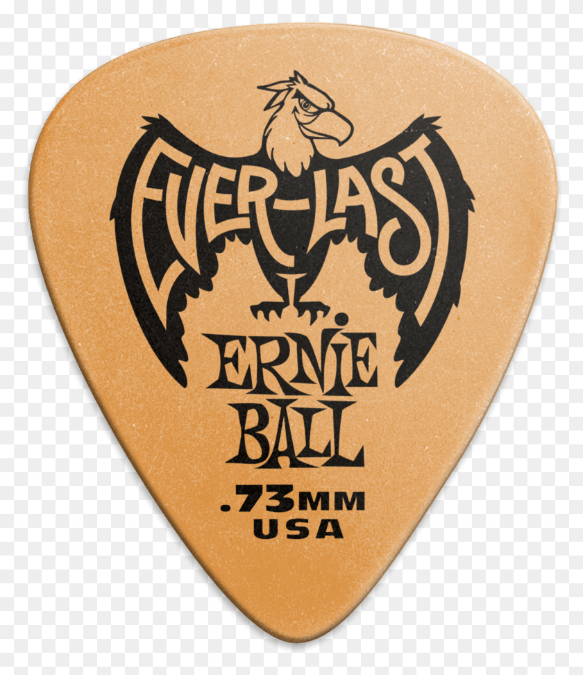 1317x1540 Everlast Picks Ernie Ball Everlast Picks, Plectrum, Rug HD PNG Download