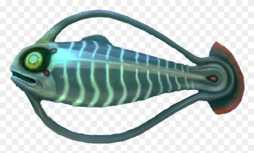 904x519 Все В Существовании Spine Fish Subnautica, Животное, Морская Жизнь, Млекопитающие Png Скачать