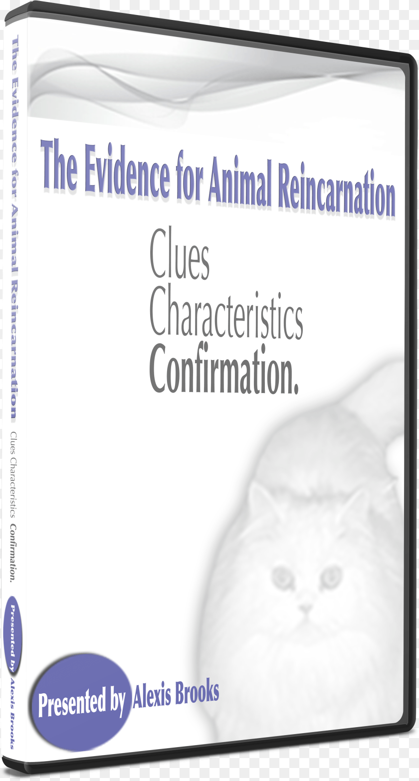 Evidenceanimalreinbanner Tooth, Angora, Animal, Cat, Mammal PNG