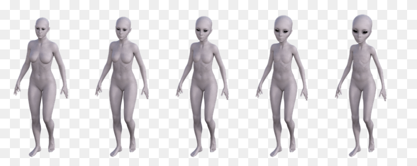 Evolution Adult, Female, Person, Woman PNG