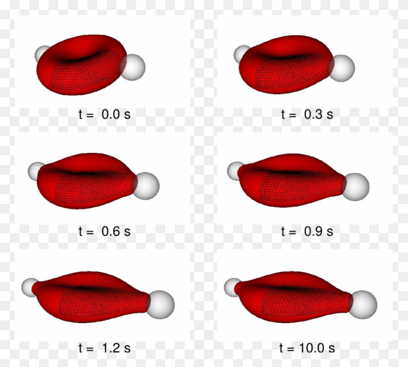850x759 Evolution Of A Red Blood Cell System Coupling Simulation In Red Blood Cell, Tie, Accessories, Accessory HD PNG Download