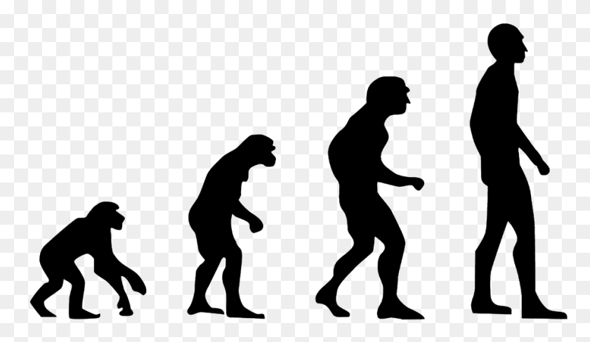 954x523 Evolutionhuman Evolutionthe Theory Of Evolutioncharles Human Evolution To Artificial Intelligence, Person, People HD PNG Download