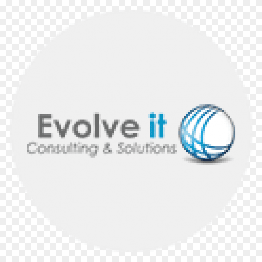 1011x1012 Evolve 1024X1024 Глобальный Логотип Предпринимателя Ibm, Сфера, Воздушный Шар, Мяч Png Скачать