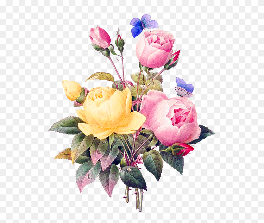 552x651 Вырезанные Цветы Vintage Cutout Бесплатное Изображение На Pixabay Букет Цветов В Вырезе, Растение, Графика Hd Png Скачать
