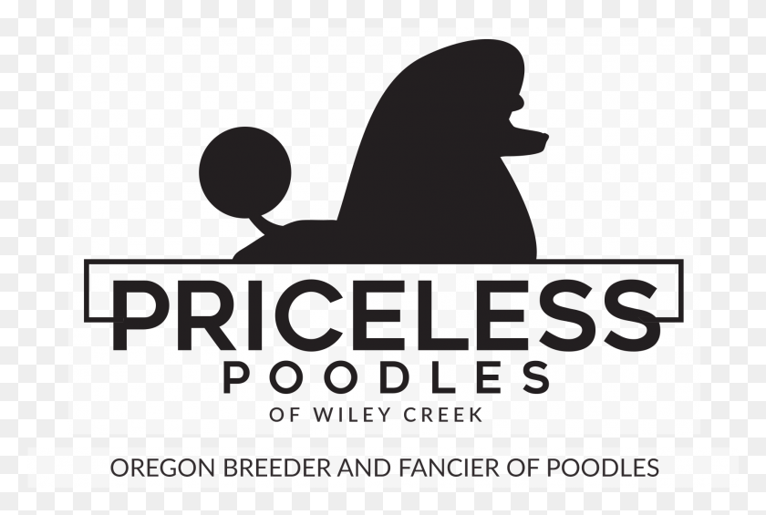 1809x1173 Exceptional Akc And Ukc Standard Poodles Oregon Poodle Silhouette, Text, Crowd HD PNG Download