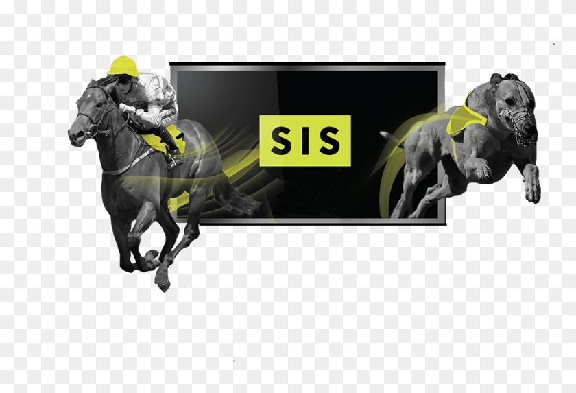 959x631 Захватывающий Новый Sis Retail Service Sis Sports Information Services, Лошадь, Млекопитающее, Животное Hd Png Скачать