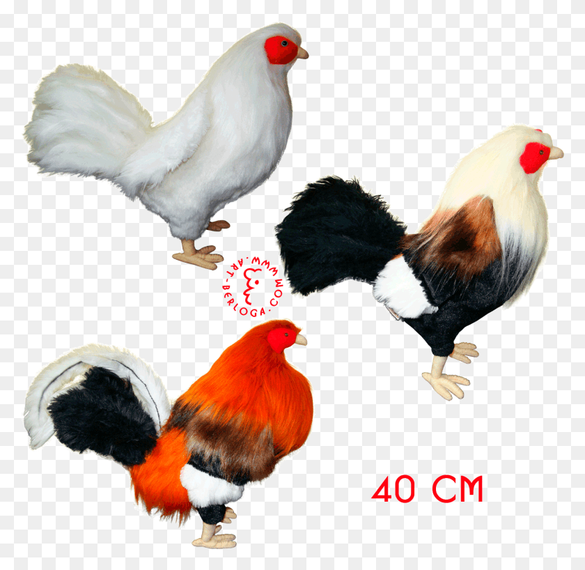 1361x1324 Exclusive Tailoring Of Plush Model For Collector Rooster Fighting Toys, Poultry, Fowl, Bird HD PNG Download