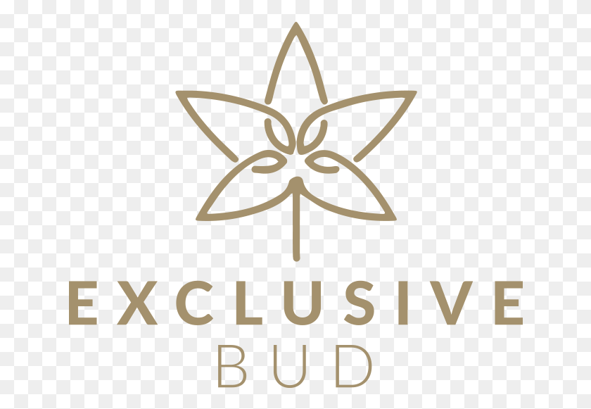 646x521 Exclusivebud Exclusivebud Song That Saved My Life Logo, Symbol, Star Symbol, Trademark HD PNG Download