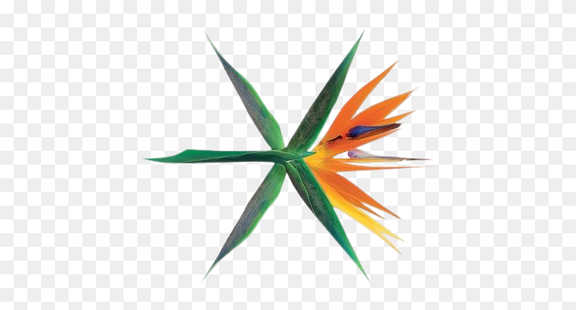 450x392 Exo Kokobop Logo Exo The War Album, Aloe, Plant, Leaf HD PNG Download