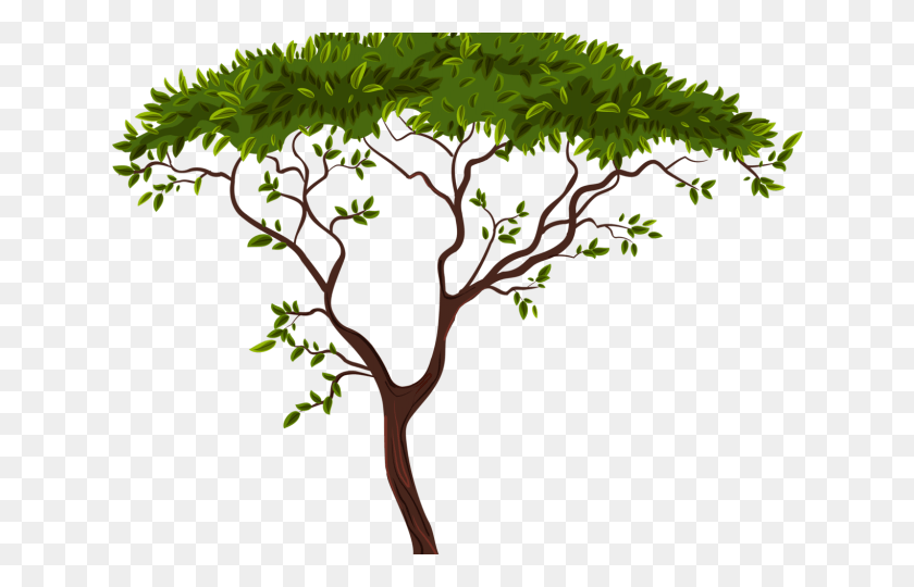 640x480 Exotic Clipart Hindu Marriage Clipart Transparent Background Tree, Plant, Vegetation, Jungle HD PNG Download