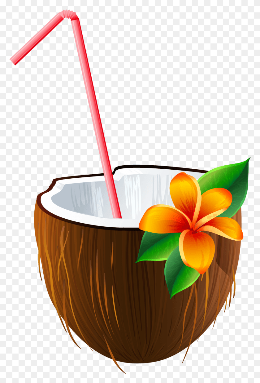 2087x3145 Exotic Clipart Moana Transparent Background Coconut Drink Clipart, Plant, Nut, Vegetable HD PNG Download