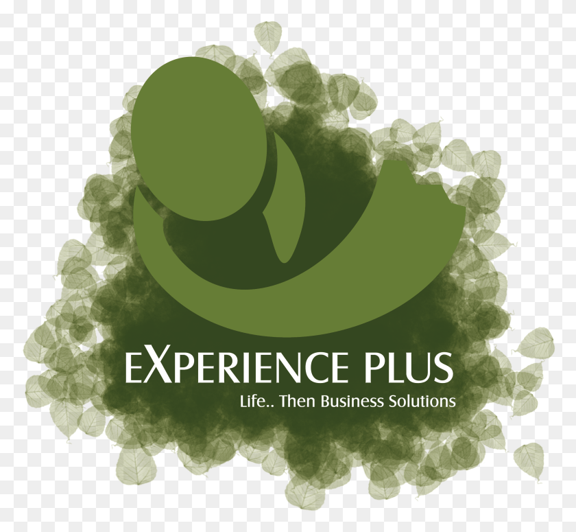 2487x2282 Experience Plus Icon Graphic Design, Green, Plant, Leaf HD PNG Download