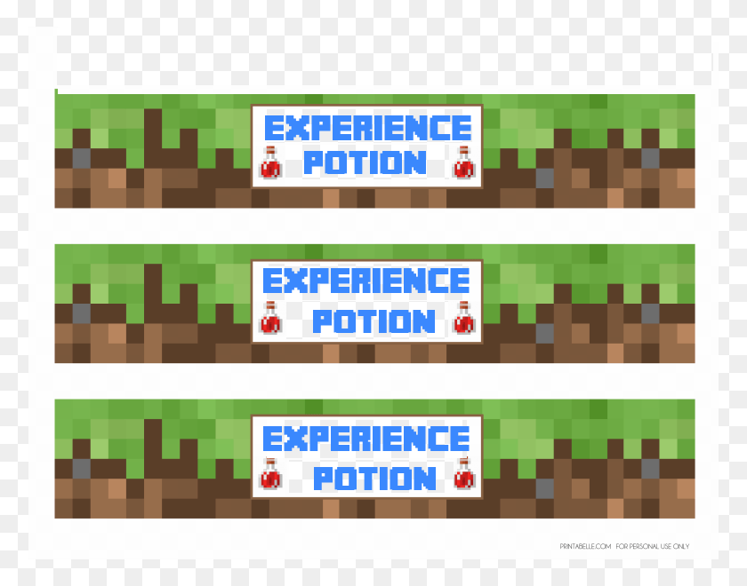 776x600 Experience Potion Labels Minecraft Birthday Bottle Labels, Text, Collage, Poster Descargar Hd Png