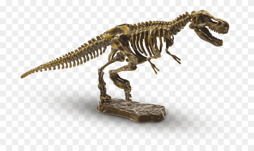 735x440 Explore Excavate At Rex T Rex Kostra, Dinosaurio, Reptil, Animal Hd Png