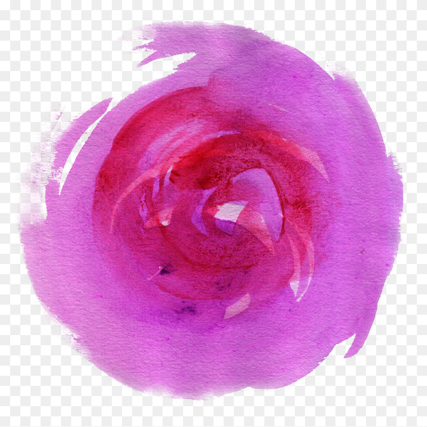 2500x2506 Explore These Ideas And More Japanese Camellia HD PNG Download