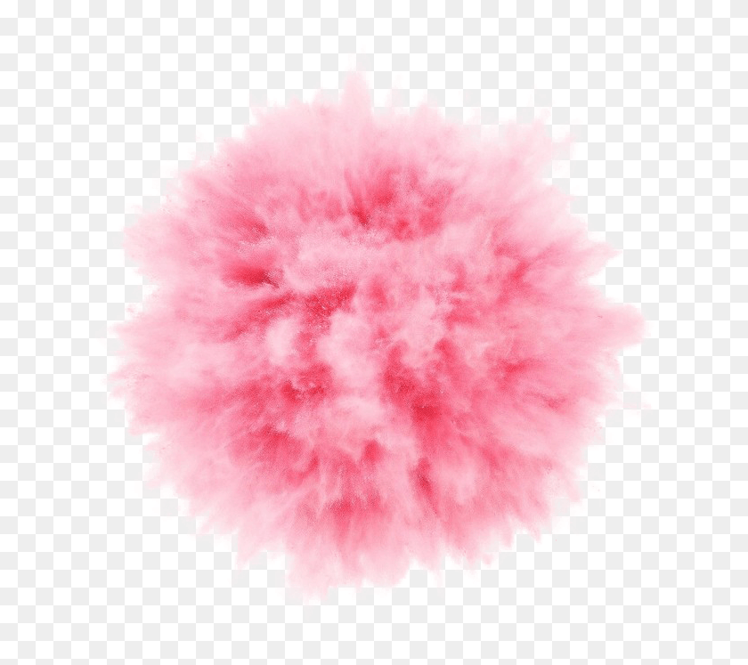 658x687 Explosion Ftestickers Pastel Pink Aesthetic, Clothing, Apparel, Feather Boa HD PNG Download