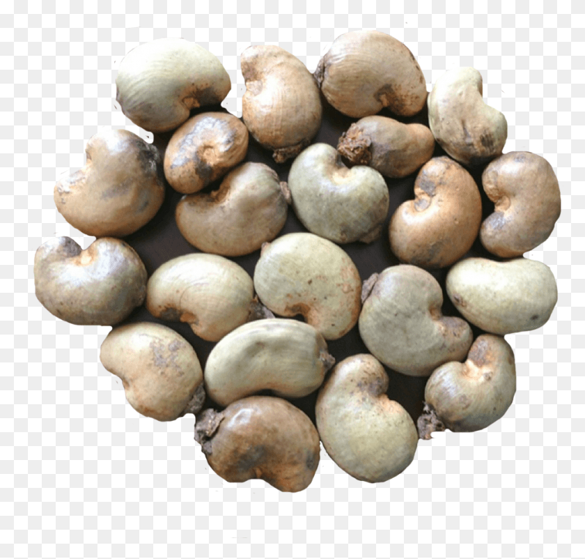 941x896 Export Quality Dried Raw Cashew Nuts Raw Cashew Nut Ghana, Plant, Produce, Food HD PNG Download