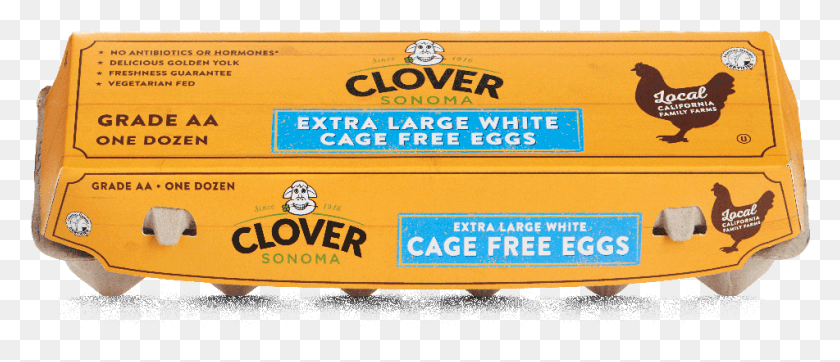 951x369 Extra Large White Cage Free Eggs Cage Free Eggs, Text, Bus, Vehicle HD PNG Download