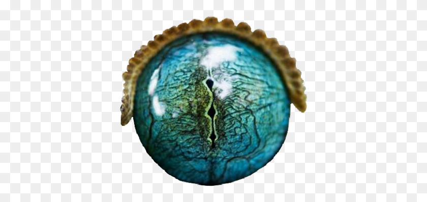 371x337 Eye Eyes Reptile Crocodile Alligator Scales Water Transparent Alligator Eyes, Sphere, Turquoise, Mold HD PNG Download