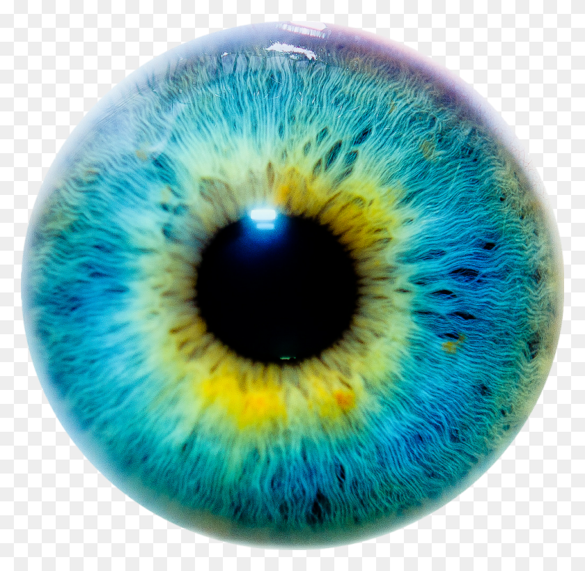 1023x998 Eye Iris Eyeball Colour Lens, Sphere, Photography HD PNG Download