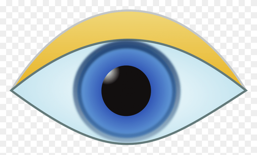 961x551 Eye Iris Look Vision Human Pupil Sight Focus Circle, Outdoors, Nature, Disk HD PNG Download
