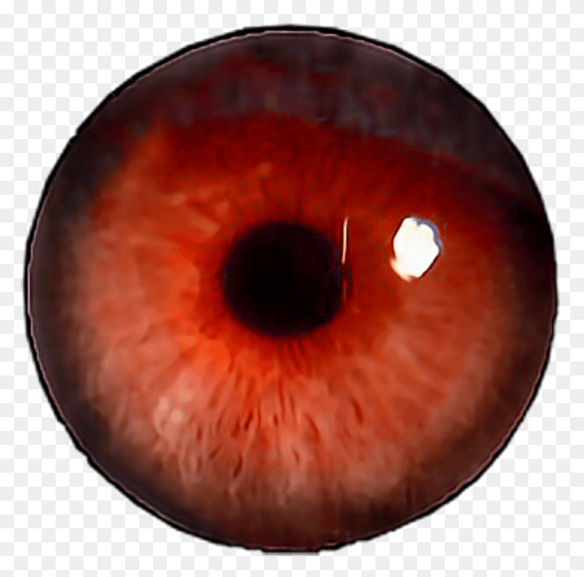 1024x1012 Eye Red Edit Transparent Tumblrfreetoedit Close Up Of An Eye, Moon, Outer Space, Night HD PNG Download