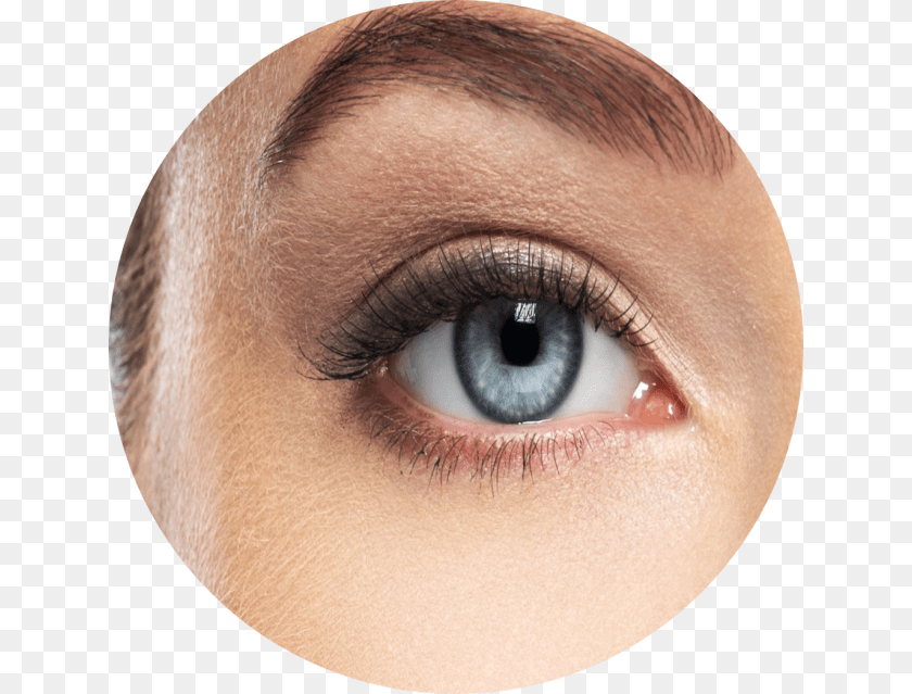 Eye Shadow, Adult, Contact Lens, Female, Person Transparent PNG