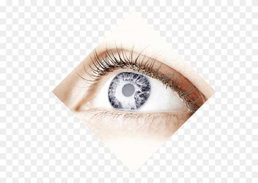 566x537 Eye Surgery Menschen Mit Grauen Augen, Doodle HD PNG Download