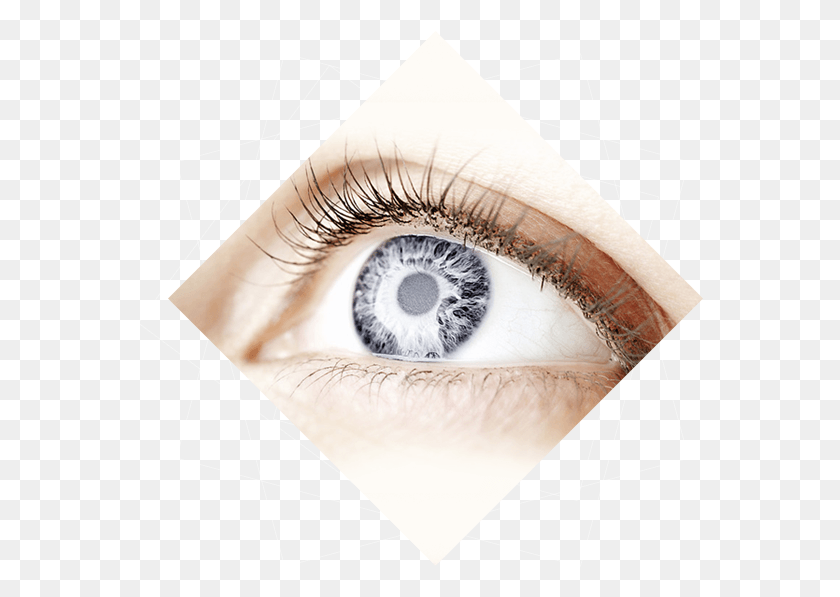 566x537 Хирургия Глаза Menschen Mit Grauen Augen, Doodle Hd Png Скачать