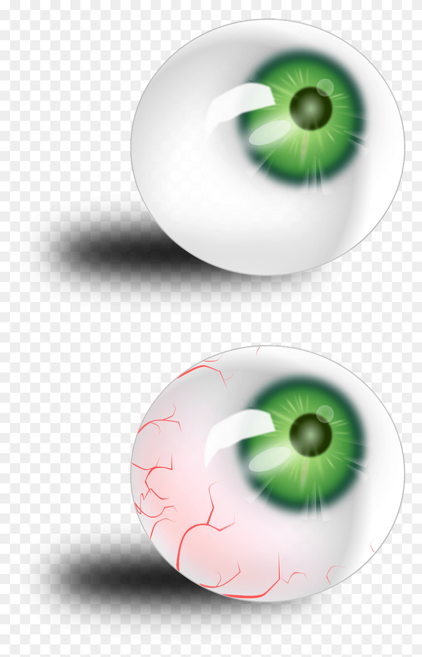 Человеческий глаз яблоко