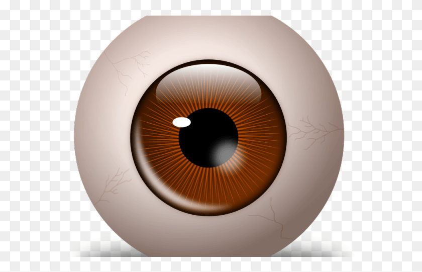 574x481 Eyeball Clipart Different Eye Circle, Lamp, Sphere, Face HD PNG Download