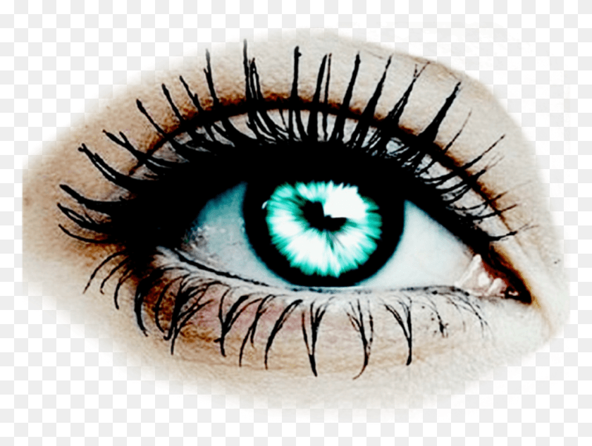 959x705 Eyes Eye Lenses Face Portraits Body Ftestickers Make Up Factory Lash Explosion Mascara, Cosmetics, Tattoo, Skin HD PNG Download