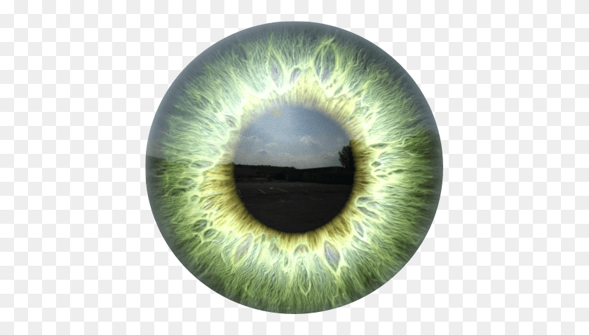 425x419 Eyes Eyeart Eye Stickers Realeyes Realeye Pupil Picsart Eyes, Sphere, Photography HD PNG Download