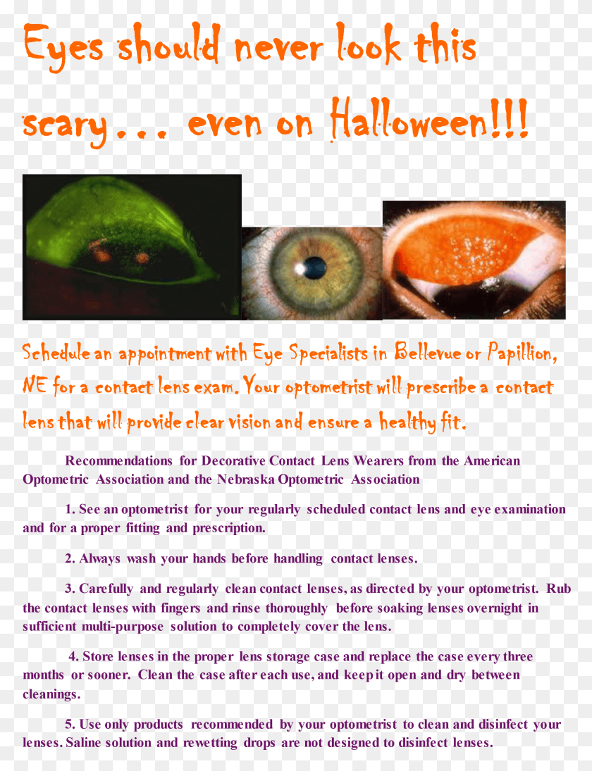 1951x2589 Eyes Should Never Look This Scary Orange, Plant, Flyer, Poster Descargar Hd Png
