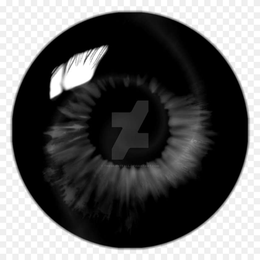1013x1013 Eyes Swirl Black Eye Lens, Bird, Animal, Hand HD PNG Download