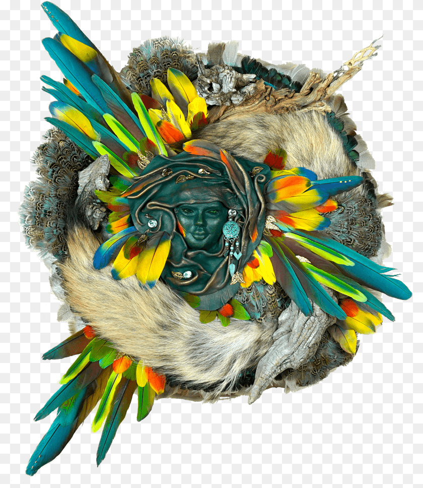 Faces Of Nature Headpiece, Animal, Bird, Face, Head PNG