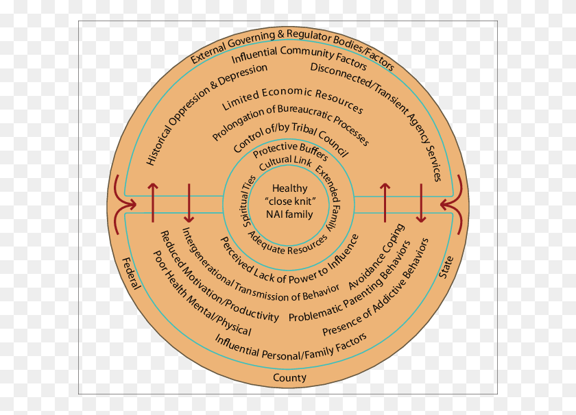 612x546 Factors Influencing A Healthy Native American Indian Circle, Plot, Diagram, Text Descargar Hd Png