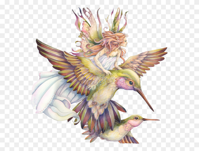 577x576 Faerie Drawing Hummingbird Spirit Of The Animals Oracle Jody Bergsma, Bird, Animal, Chicken HD PNG Download