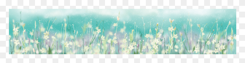 1668x335 Fairy Dust Glass Backsplash Grass, Растение, Весна, Солнечный Свет Hd Png Скачать