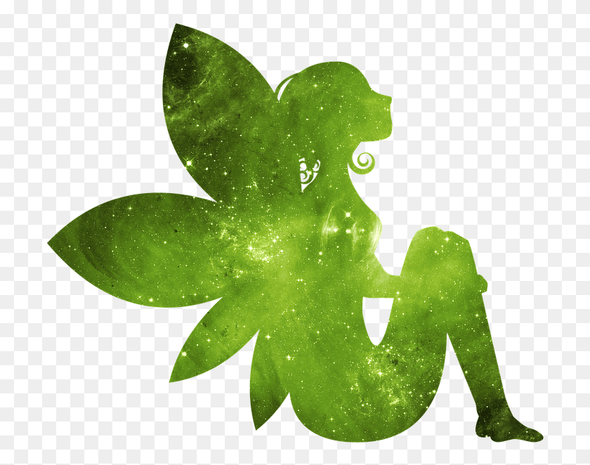 712x602 Fairy Galaxy Fairy Galaxy Star Space Magic Sky Fairy Garden Logo, Leaf, Plant, Green HD PNG Download