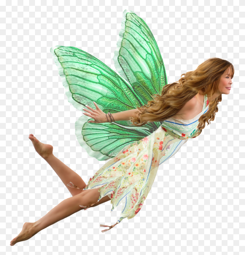 776x811 Fairy Magic Toy Pixie Fairies Transparent Background, Person, Human, Costume HD PNG Download