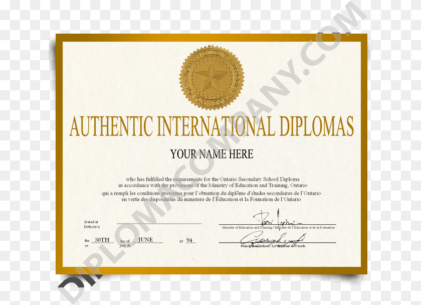 649x608 Fake International College Diploma Ecoe Ediciones, Text, Document Transparent PNG